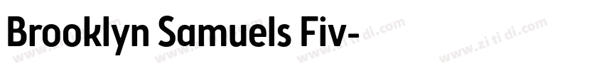 Brooklyn Samuels Fiv字体转换